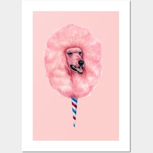 Cotton Candy Poodle Dog Posters and Art